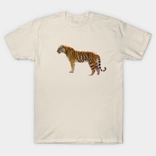 Tiger T-Shirt